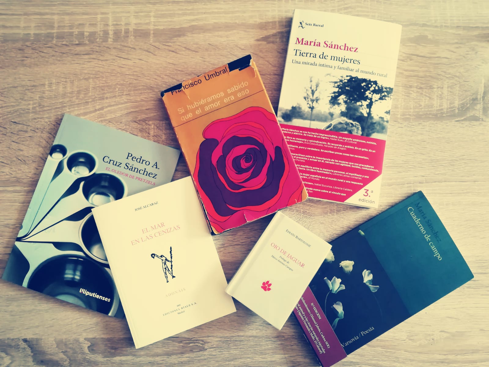Una poética del cuerpo Lecturas de junio 2019.