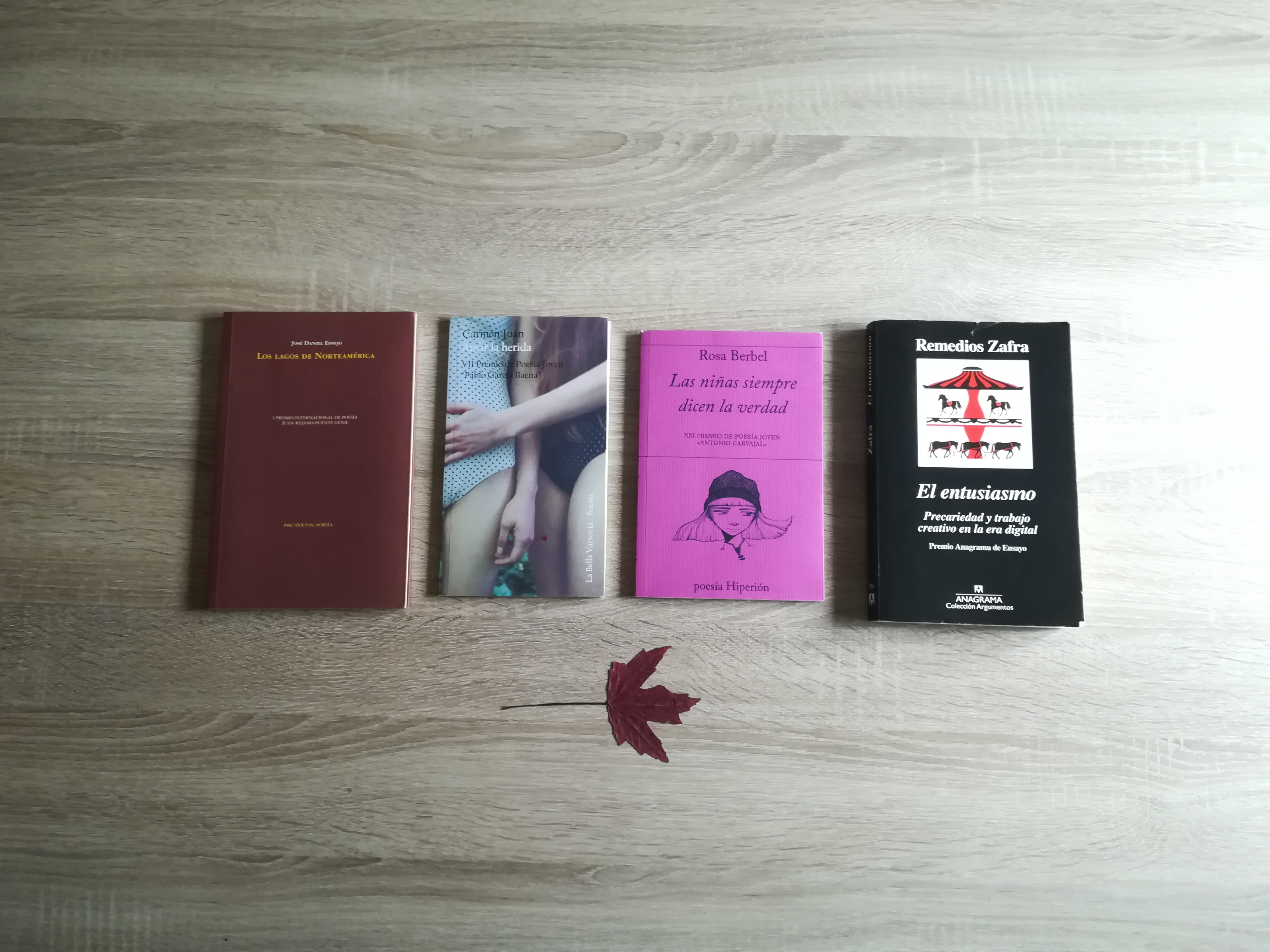 La llaga en cuatro libros.