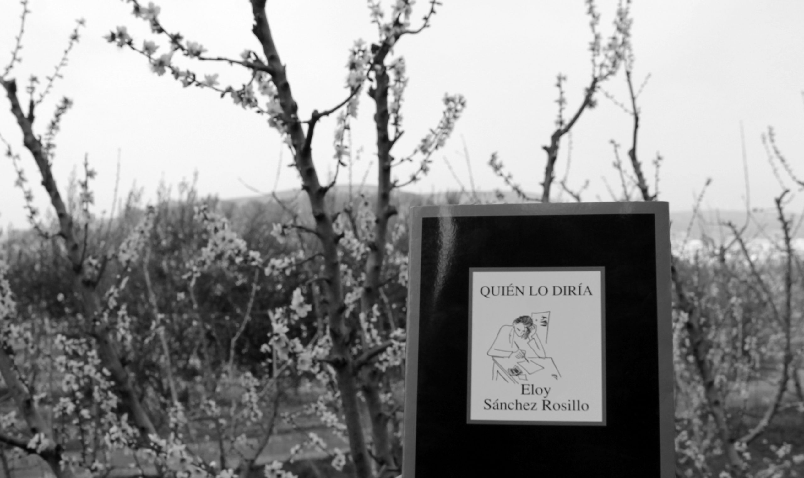 Estampas de luz Quién lo diría, de Eloy Sánchez Rosillo.
